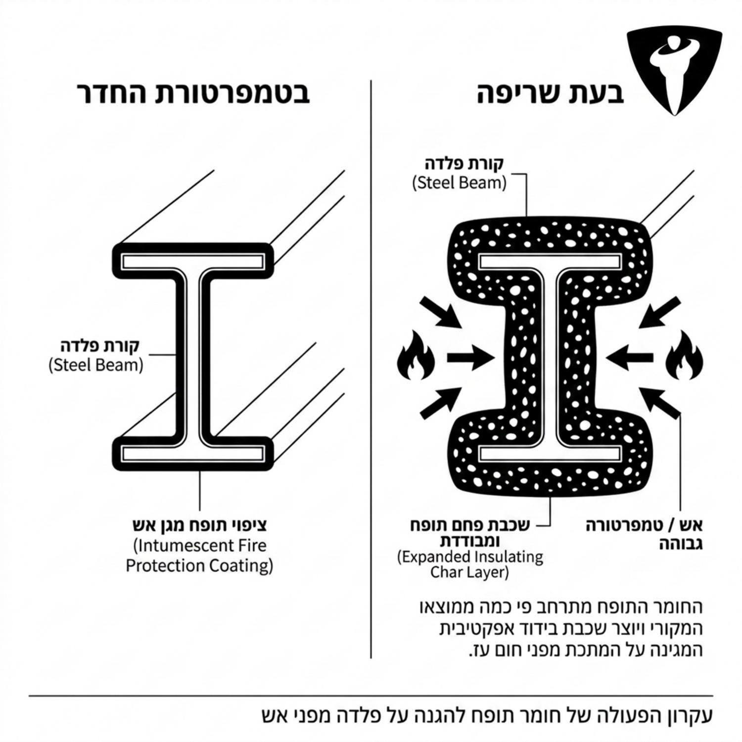 אינפוגרפיקה המציגה חתך של קורת פלדה מצופה בחומר תופח מגן אש המדגימה כיצד החומר מתרחב בחום ויוצר שכבת בידוד עבה סביב המתכת